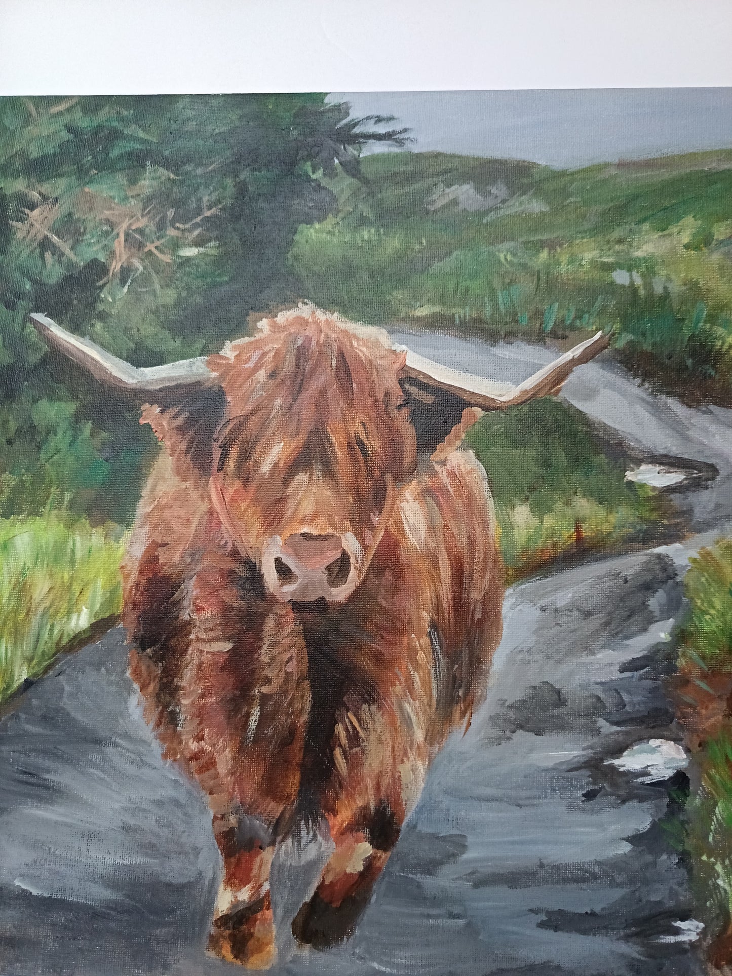Original "Highland cow down the lane" 16" x 20"