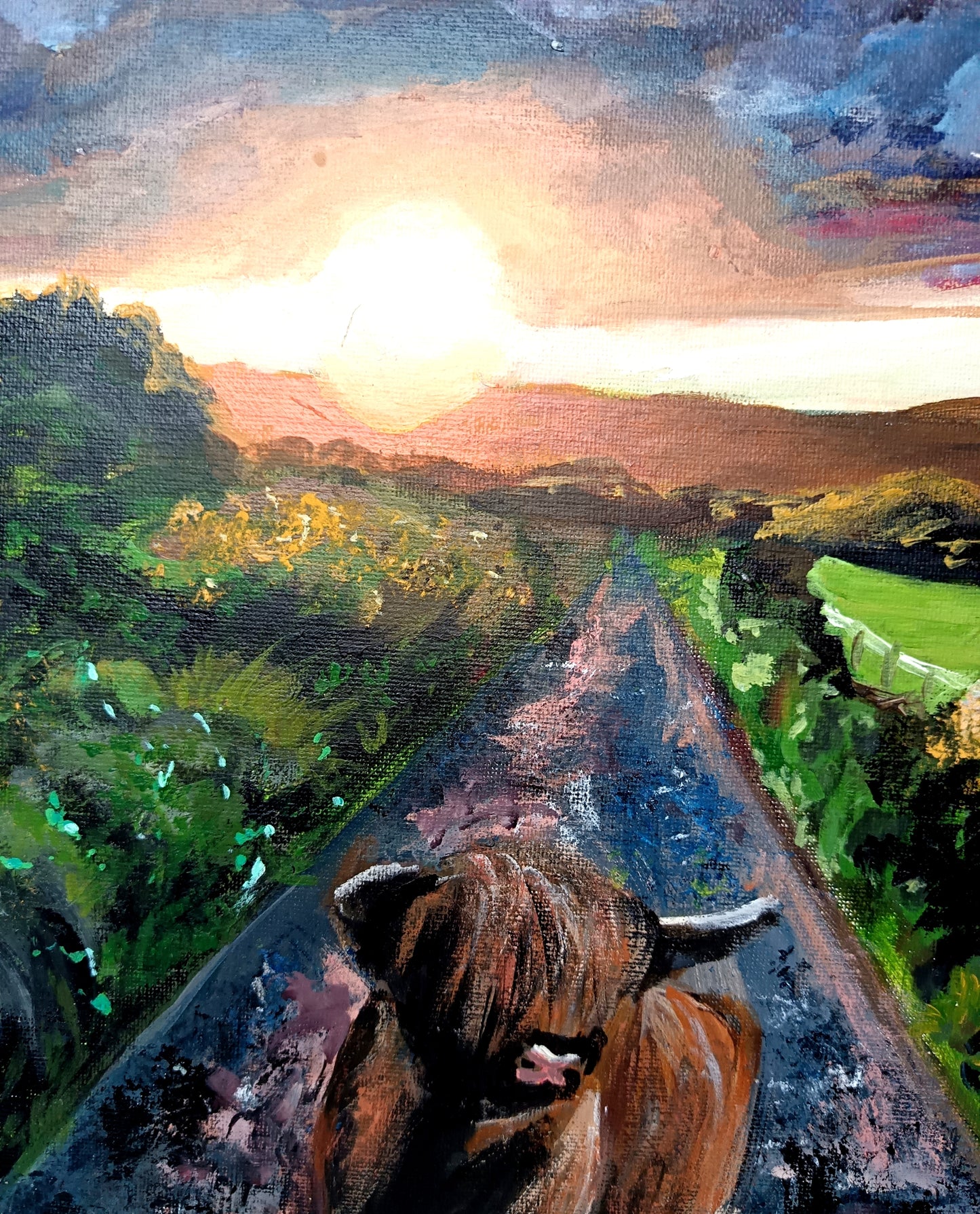Original "Highland cow at sunset" 16" x 20"