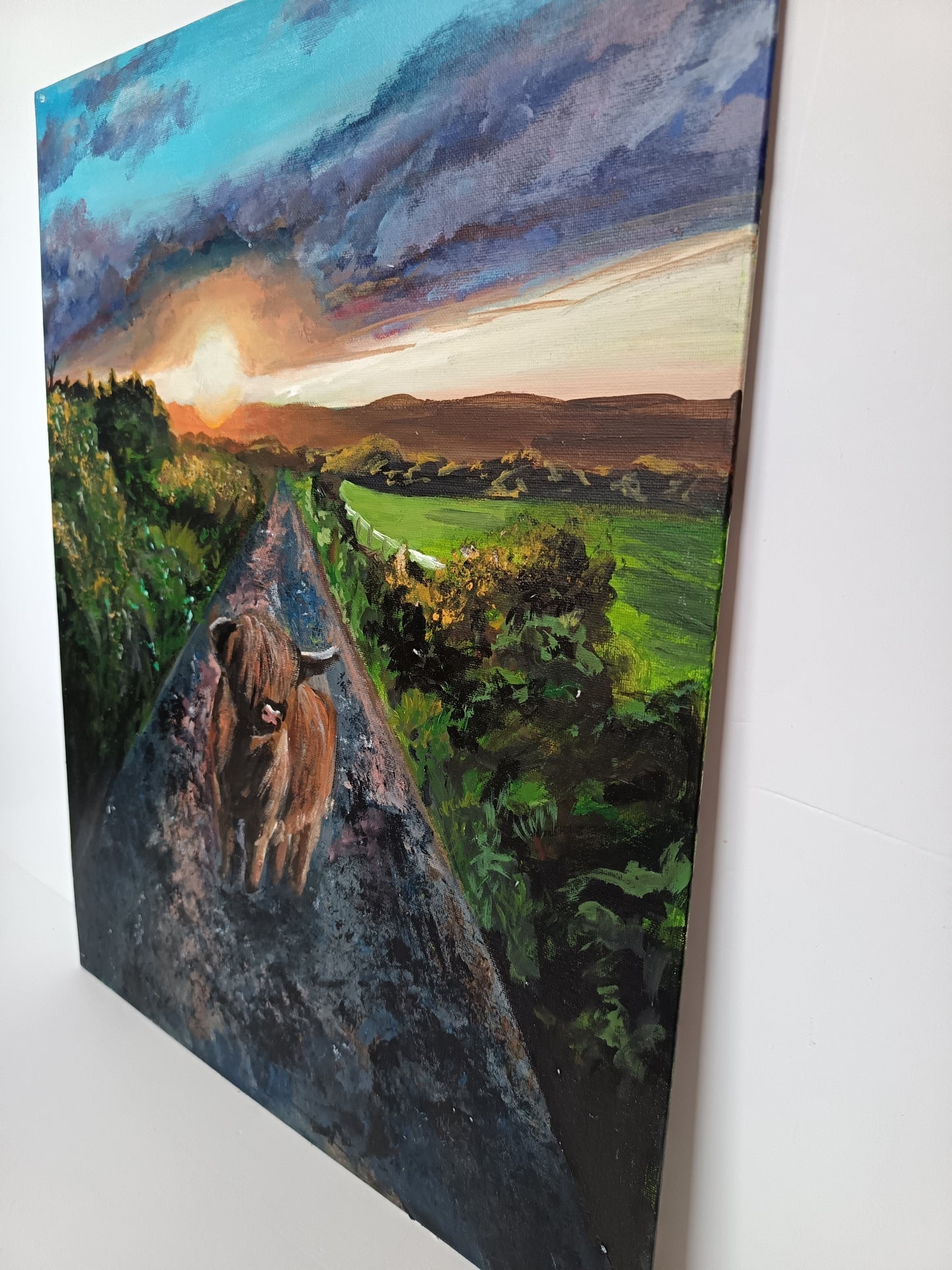 Original "Highland cow at sunset" 16" x 20"