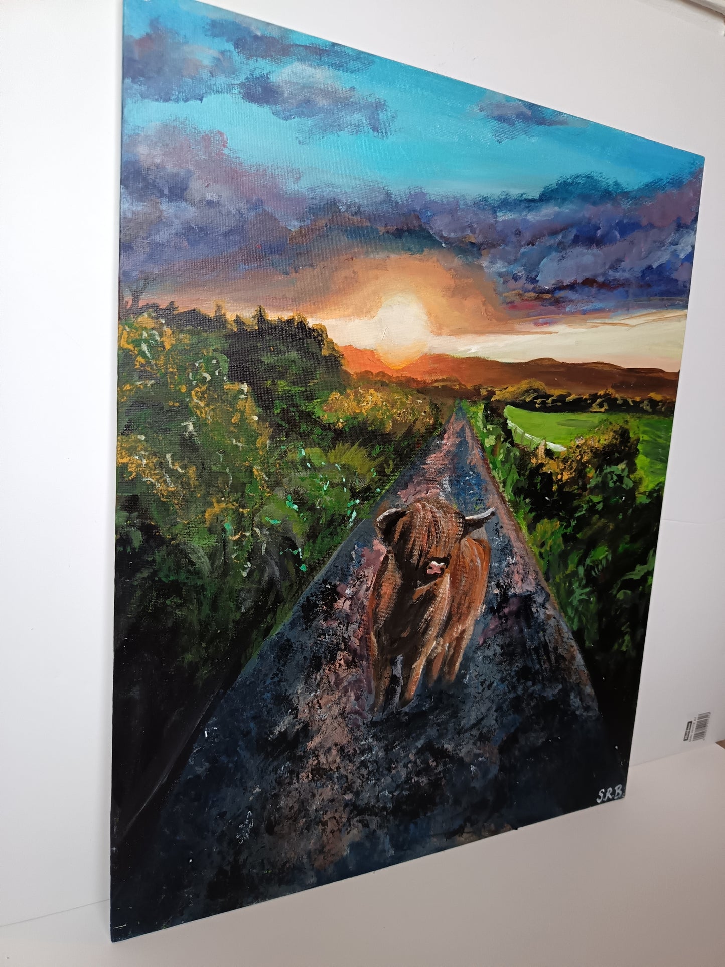 Original "Highland cow at sunset" 16" x 20"