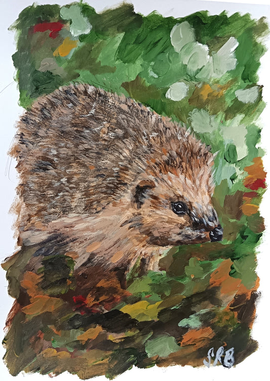 3 for 2 offer - Scottish wildlife collection - Hedgehog art print