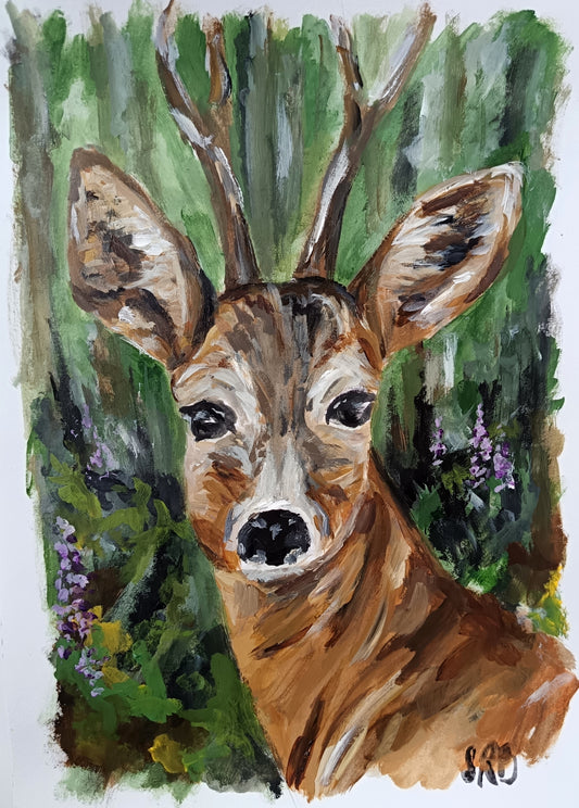 3 for 2 offer - Scottish wildlife collection - Roe deer art print