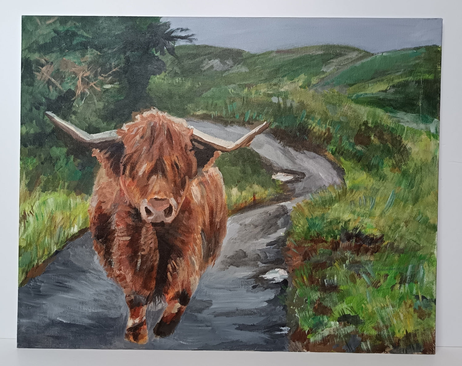 Scottish wildlife