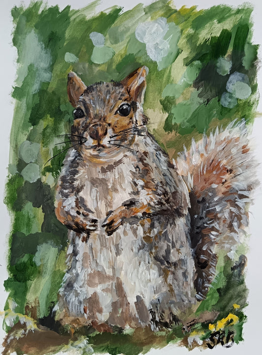 3 for 2 offer - Scottish wildlife collection - Grey Squirrel art print