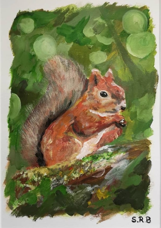 3 for 2 offer - Scottish wildlife collection - Red squirrel art print